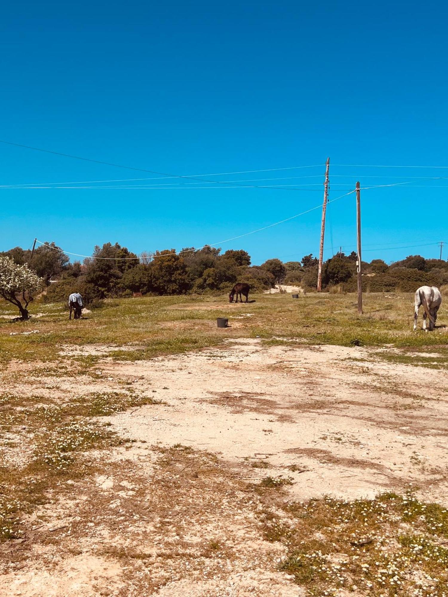 Koskinou  Naya Pool & Garden View Bungalow מראה חיצוני תמונה